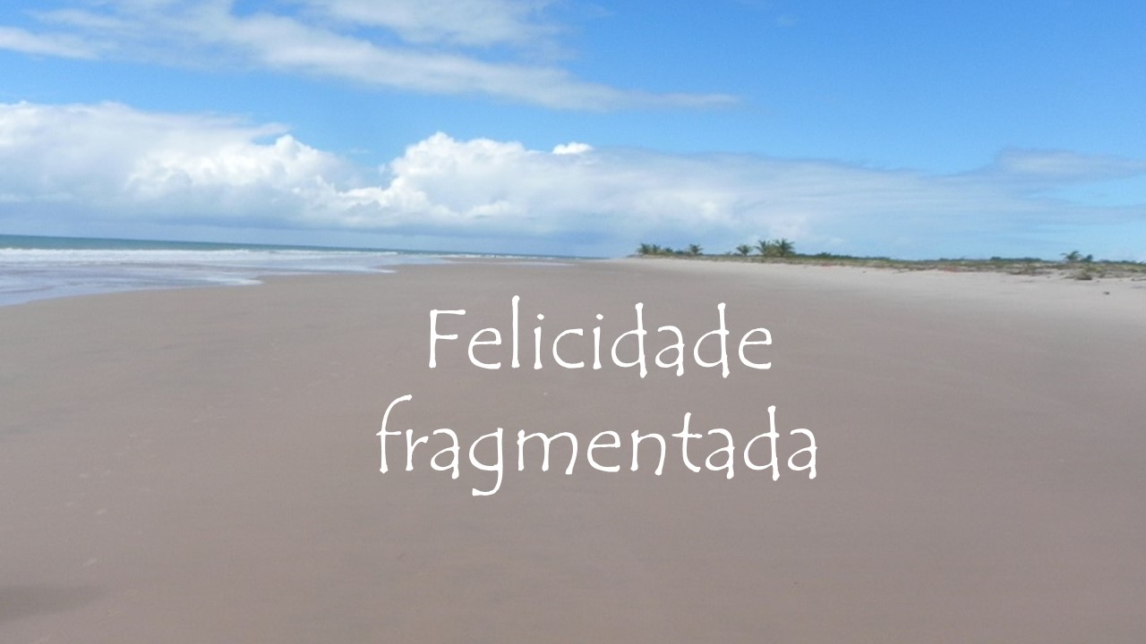 Felicidade fragmentada