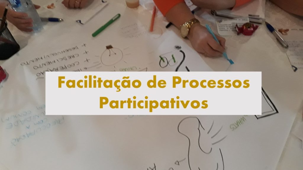 Facilitação de Processos Participativos